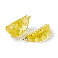 Transparent Resin Pendants&nbsp;RESI-P020-01P