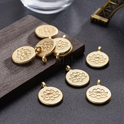 Tibetan Style Alloy Pendants&nbsp;TIBE-S301-015MG-NR