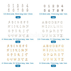 304 Stainless Steel Charms&nbsp;STAS-FW0001-04