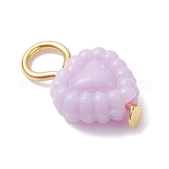 Opaque Acrylic Pendants&nbsp;PALLOY-JF04351-02