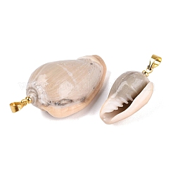 Brass & Natural Oliva Shell Pendants&nbsp;SHEL-Q029-22KCG
