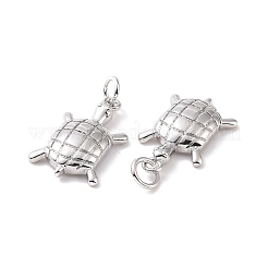 Rack Plating Brass Pendants&nbsp;ZIRC-C042-10P