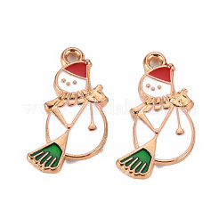Eco-Friendly Alloy Enamel Pendants&nbsp;ENAM-T011-63-NR