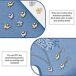 40Pcs 2 Colors Rack Plating Alloy Pendants&nbsp;FIND-FH0004-51