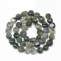 Natural Moss Agate Beads Strands&nbsp;X-G-R445-8x10-01