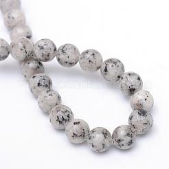 Natural Sesame Jasper/Kiwi Jasper Bead Strands&nbsp;G-R345-8mm-11