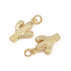 SHEGRACE Brass Pendants&nbsp;XGRQ2O159-429G