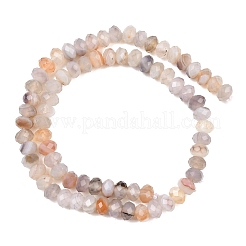Natural Botswana Agate Beads Strands&nbsp;G-C259-A21-5x8mm