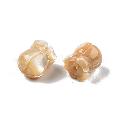 Natural Trochid Shell/Trochus Shell Beads&nbsp;SSHEL-N003-145B-A02