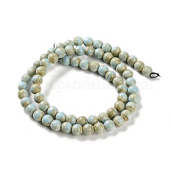 Natural Rainbow Alashan Agate Beads Strands&nbsp;G-NH0022-A01-01