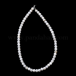 Natural Freshwater Shell Beads Strands&nbsp;SH-CBA2978-07D-01