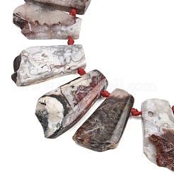 Natural Mexican Crazy Lace Agate Beads Strands&nbsp;G-B196-A01-01