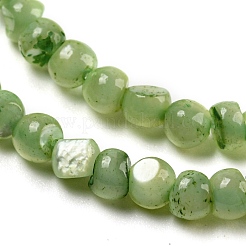 Natural White Shell Dyed Beads Strands&nbsp;BSHE-Z005-03E