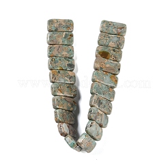 Assembled Natural Shoushan Stone/Larderite Beads Strands&nbsp;G-L604-F02-01