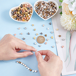 800Pcs 8 Colors CCB Plastic Beads&nbsp;RESI-PH0002-32