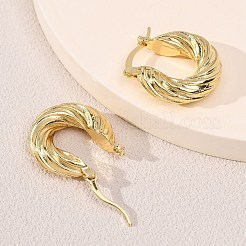 Brass Hoop Earrings&nbsp;EJEW-Z164-32G
