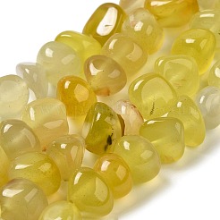 Natural Agate Beads Strands&nbsp;G-H295-B01-04