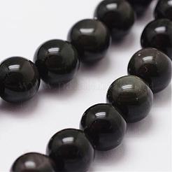 Natural Rainbow Obsidian Beads Strands&nbsp;G-D838-10mm-04
