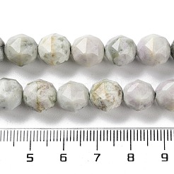 Natural Peace Jade Beads Strands&nbsp;G-NH0021-A08-02