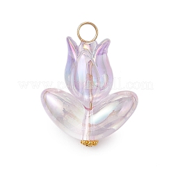 6Pcs Acrylic Beads Pendants&nbsp;PALLOY-JF03023
