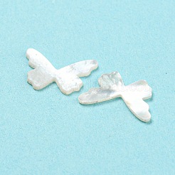 Natural Sea Shell Cabochons&nbsp;SHEL-D079-16