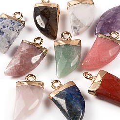 10Pcs 10 Style Natural Gemstone Pendants&nbsp;G-LS0002-14