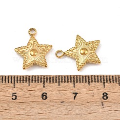 304 Stainless Steel Pendants&nbsp;STAS-I363-14G