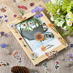5 Bags 5 Styles PET Stickers&nbsp;DIY-CP0013-08