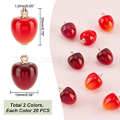 40Pcs 2 Colors Plastic Pendants&nbsp;KY-PH0001-64