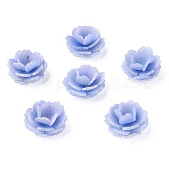 Plastic Beads&nbsp;LS-KY-N015-197B
