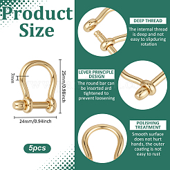 5Pcs Brass D-Ring Anchor Shackle Clasps&nbsp;KK-UN0005-60