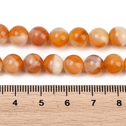 Handmade Lampwork Beads Strand&nbsp;LAMP-B056-8mm-13
