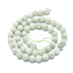 Natural Myanmar Jade/Burmese Jade Beads Strands&nbsp;G-D0001-09-8mm
