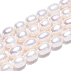 Natural Cultured Freshwater Pearl Beads Strands&nbsp;PEAR-N012-06V