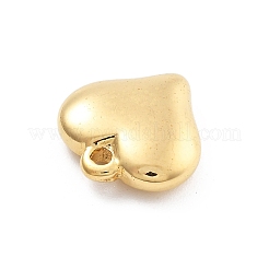 304 Stainless Steel Charms&nbsp;STAS-R155-054B-G