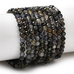 Natural Iolite Beads Strands&nbsp;G-G343-B01-3mm