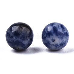 Natural Blue Spot Jasper Beads&nbsp;G-R483-08-8mm