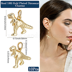 10Pcs Rack Plating Brass Pendants&nbsp;KK-BBC0017-14