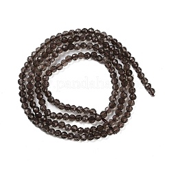 Natural Smoky Quartz Beads Strands&nbsp;G-P553-G05-01