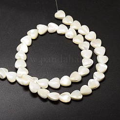 Natural Trochid Shell/Trochus Shell Beads Strands&nbsp;SSHEL-K012-05