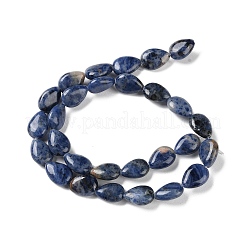 Natural Sodalite Beads Strands&nbsp;G-K357-A01-01