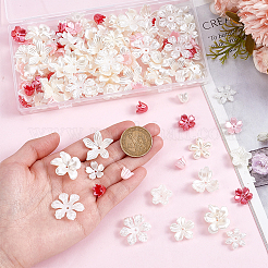 140Pcs 14 Colors Resin Bead Caps&nbsp;RESI-AR0001-56