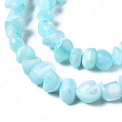 Natural Trochid Shell/Trochus Shell Bead Strands&nbsp;SSHEL-N034-78-C03