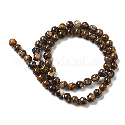 Natural African Opal Beads Strands&nbsp;G-H298-A11-02