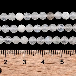 Natural Rainbow Moonstone Beads Strands&nbsp;G-P500-01C-01A