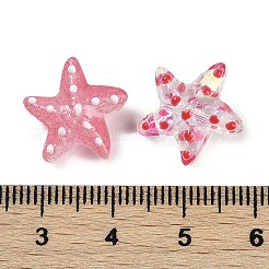 Handmade Lampwork Beads Strands&nbsp;LAMP-I027-09A