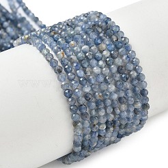 Natural Kyanite Beads Strands&nbsp;G-Z104-B01-3mm-A