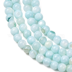 Dyed Natural Freshwater Shell Beads Strands&nbsp;SH-CBA2978-07A-01