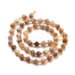 Natural Fossil Coral Beads Strands&nbsp;G-P463-48