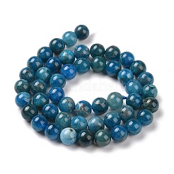 Natural Apatite Beads Strands&nbsp;G-R446-8mm-11